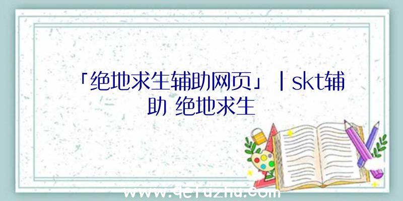 「绝地求生辅助网页」|skt辅助